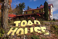 Signage outside Toad House in Ladysmith, Wis.